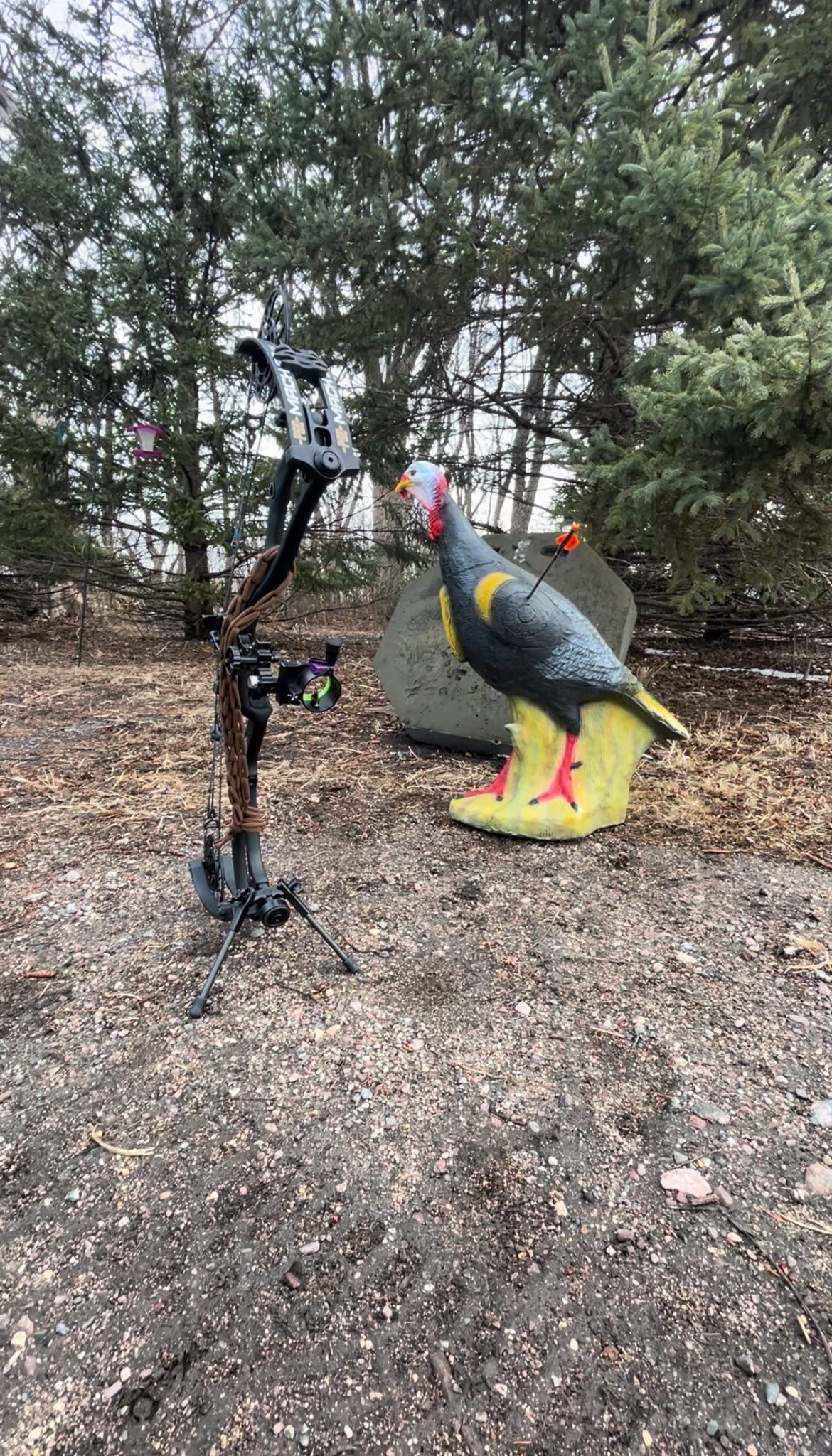 Vsling on a PSE bow with turkey target in background