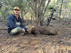 Man kneeling next to a deer he has hunted in a forest setting with a bow and Vsling on backside of riser.