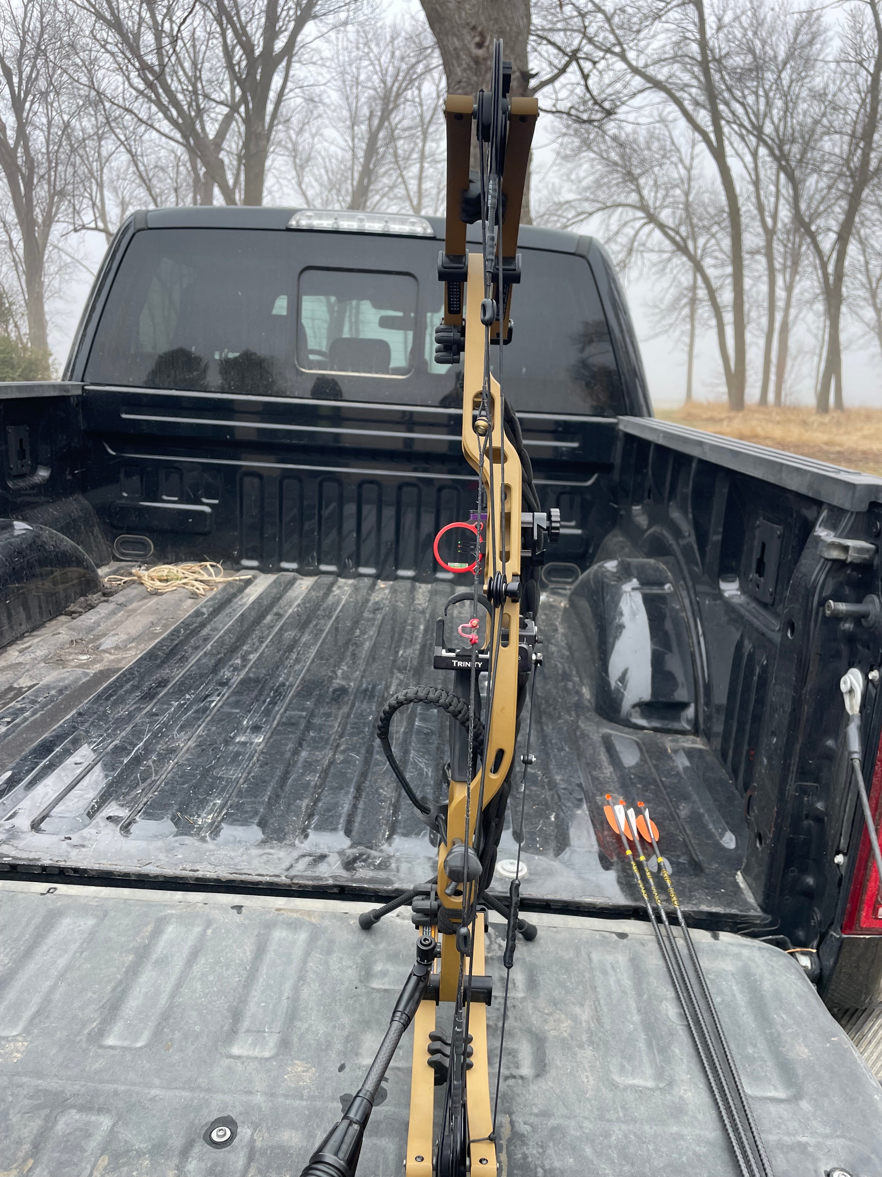 Hoyt bow with Vsling