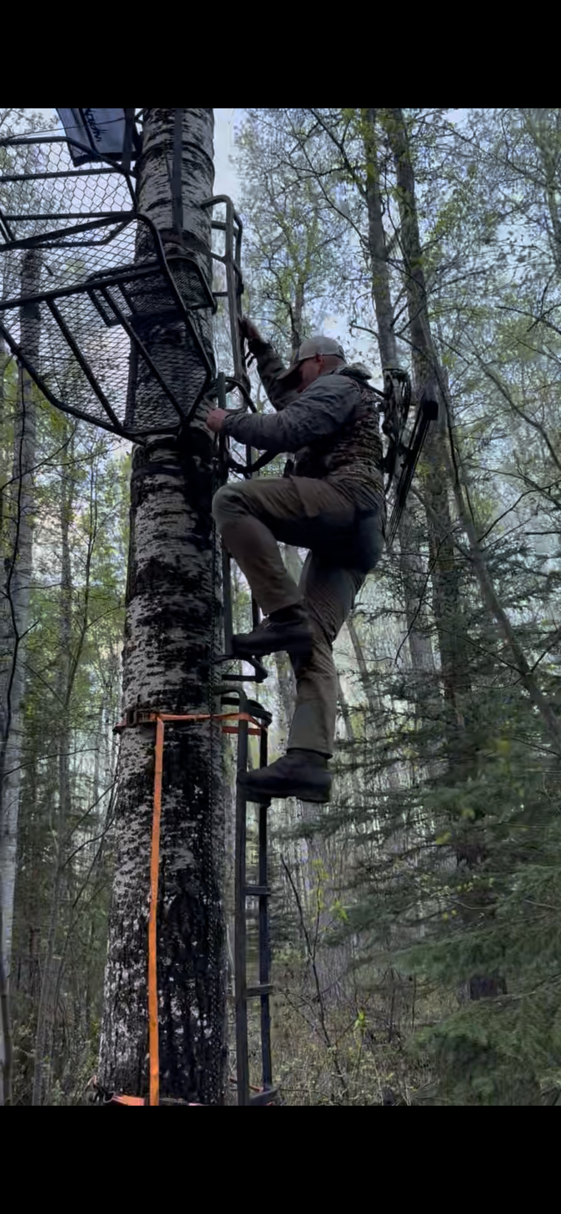 Bowhunter climbing treestand with both hands free using Vsling® bow sling